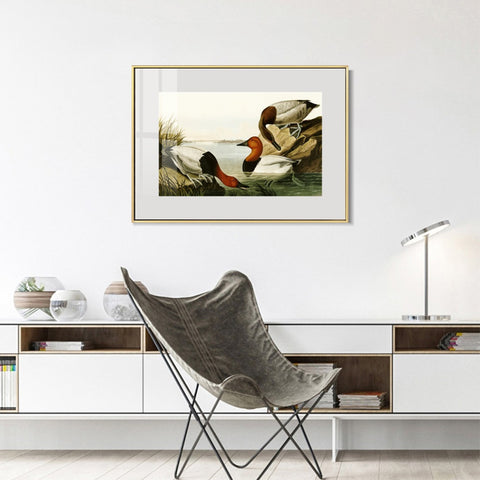 INVIN ART Metal Framed Canvas Giclee Print backed Duck by John James Audubon Wall Art Living Room Home Office Decorations