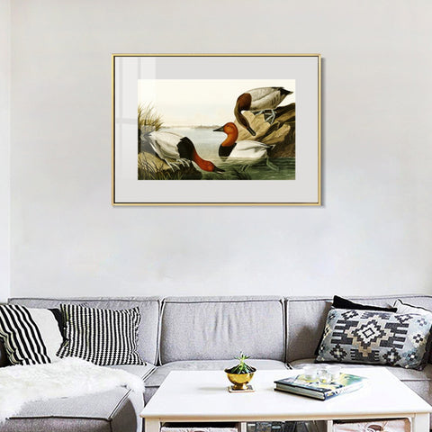 INVIN ART Metal Framed Canvas Giclee Print backed Duck by John James Audubon Wall Art Living Room Home Office Decorations