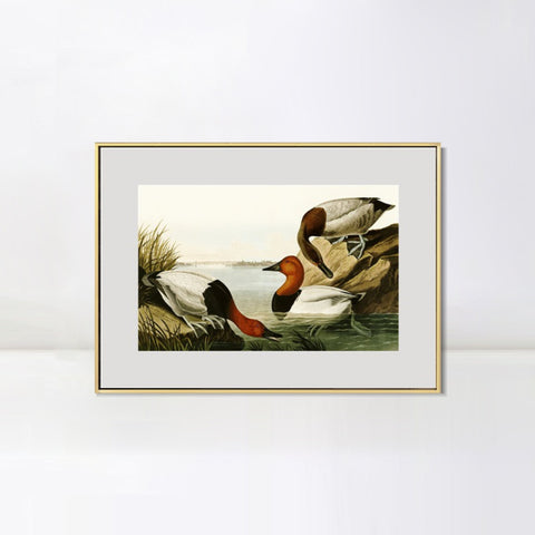 INVIN ART Metal Framed Canvas Giclee Print backed Duck by John James Audubon Wall Art Living Room Home Office Decorations