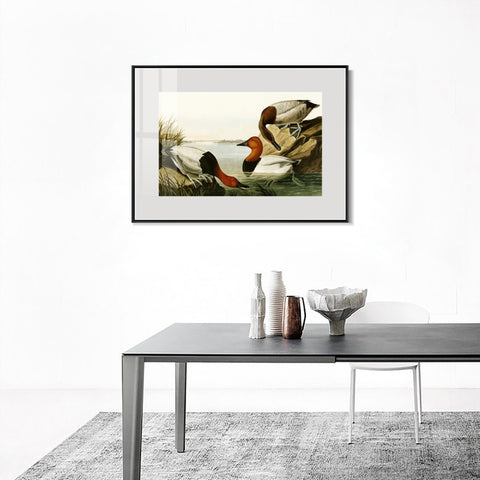INVIN ART Metal Framed Canvas Giclee Print backed Duck by John James Audubon Wall Art Living Room Home Office Decorations