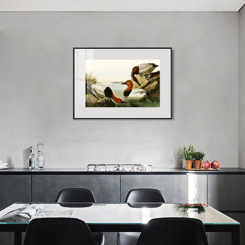 INVIN ART Metal Framed Canvas Giclee Print backed Duck by John James Audubon Wall Art Living Room Home Office Decorations