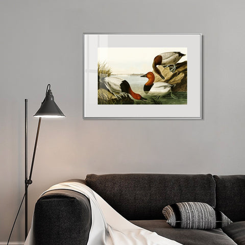 INVIN ART Metal Framed Canvas Giclee Print backed Duck by John James Audubon Wall Art Living Room Home Office Decorations