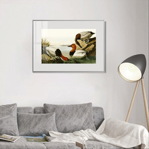 INVIN ART Metal Framed Canvas Giclee Print backed Duck by John James Audubon Wall Art Living Room Home Office Decorations
