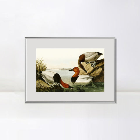 INVIN ART Metal Framed Canvas Giclee Print backed Duck by John James Audubon Wall Art Living Room Home Office Decorations