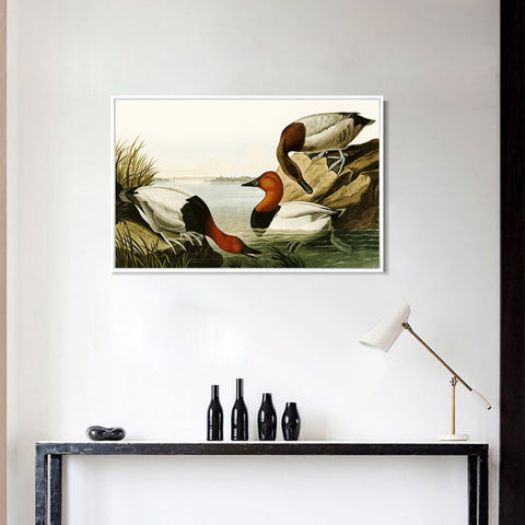 INVIN ART Framed Canvas Giclee Print backed Duck by John James Audubon Wall Art Living Room Home Office Decorations