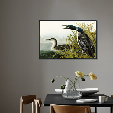 INVIN ART Framed Canvas Giclee Print Great Northern Diver or Loon by John James Audubon Wall Art Living Room Home Office Decorations