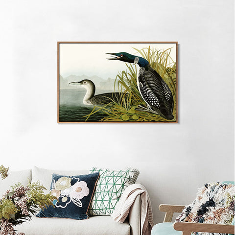 INVIN ART Framed Canvas Giclee Print Great Northern Diver or Loon by John James Audubon Wall Art Living Room Home Office Decorations