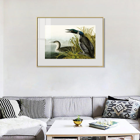 INVIN ART Metal Framed Canvas Giclee Print Great Northern Diver or Loon by John James Audubon Wall Art Living Room Home Office Decorations