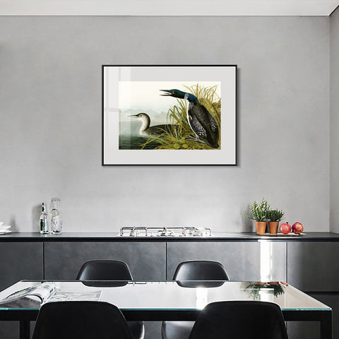 INVIN ART Metal Framed Canvas Giclee Print Great Northern Diver or Loon by John James Audubon Wall Art Living Room Home Office Decorations
