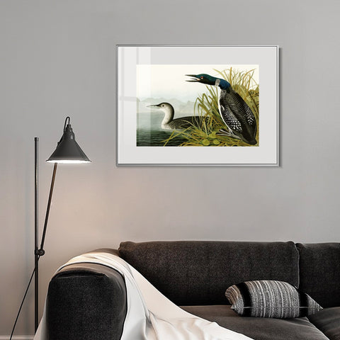 INVIN ART Metal Framed Canvas Giclee Print Great Northern Diver or Loon by John James Audubon Wall Art Living Room Home Office Decorations