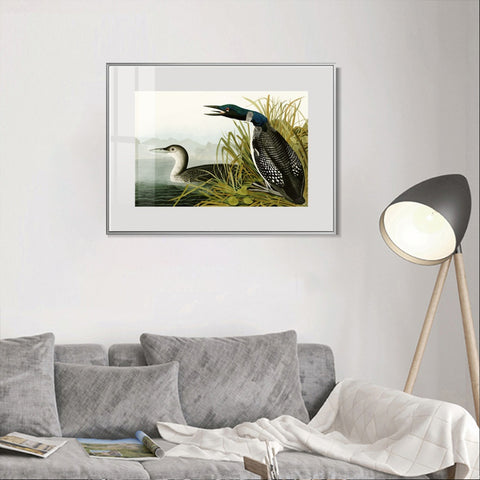 INVIN ART Metal Framed Canvas Giclee Print Great Northern Diver or Loon by John James Audubon Wall Art Living Room Home Office Decorations