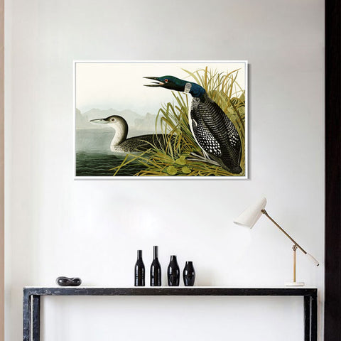 INVIN ART Framed Canvas Giclee Print Great Northern Diver or Loon by John James Audubon Wall Art Living Room Home Office Decorations
