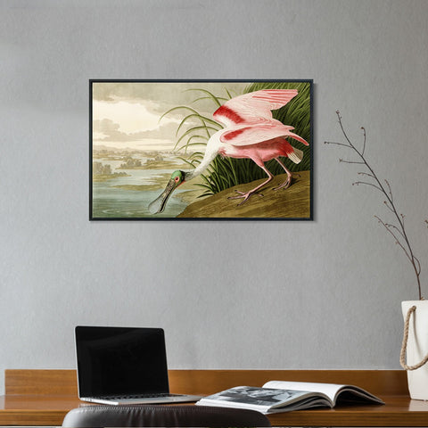 INVIN ART Framed Canvas Giclee Print Roseate Spoonbill Bird by John James Audubon Wall Art Living Room Home Office Decorations
