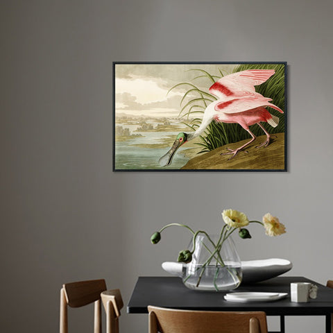INVIN ART Framed Canvas Giclee Print Roseate Spoonbill Bird by John James Audubon Wall Art Living Room Home Office Decorations