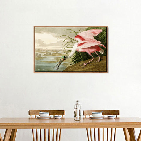 INVIN ART Framed Canvas Giclee Print Roseate Spoonbill Bird by John James Audubon Wall Art Living Room Home Office Decorations