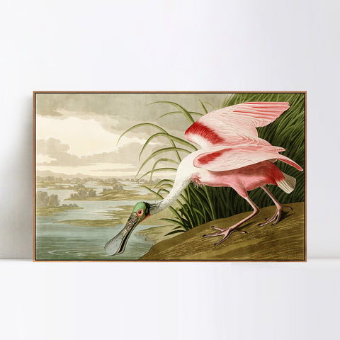 INVIN ART Framed Canvas Giclee Print Roseate Spoonbill Bird by John James Audubon Wall Art Living Room Home Office Decorations