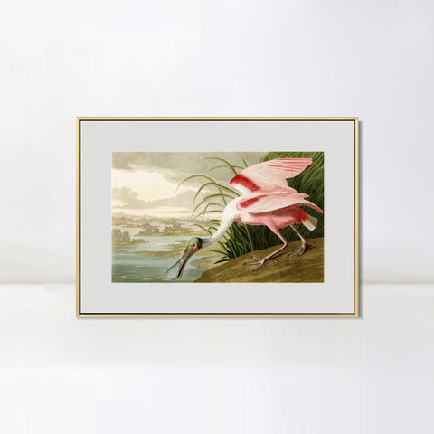 INVIN ART Metal Framed Canvas Giclee Print Roseate Spoonbill Bird by John James Audubon Wall Art Living Room Home Office Decorations