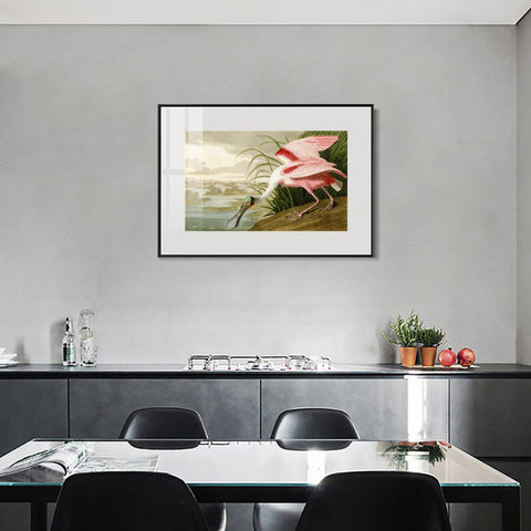INVIN ART Metal Framed Canvas Giclee Print Roseate Spoonbill Bird by John James Audubon Wall Art Living Room Home Office Decorations
