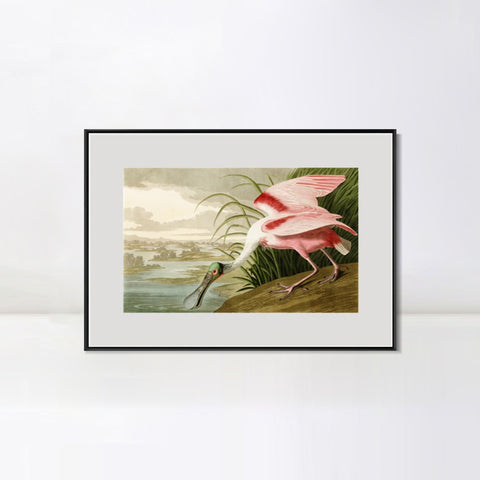 INVIN ART Metal Framed Canvas Giclee Print Roseate Spoonbill Bird by John James Audubon Wall Art Living Room Home Office Decorations