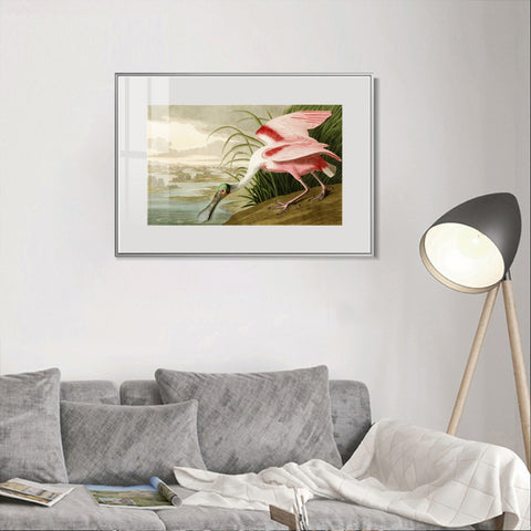INVIN ART Metal Framed Canvas Giclee Print Roseate Spoonbill Bird by John James Audubon Wall Art Living Room Home Office Decorations