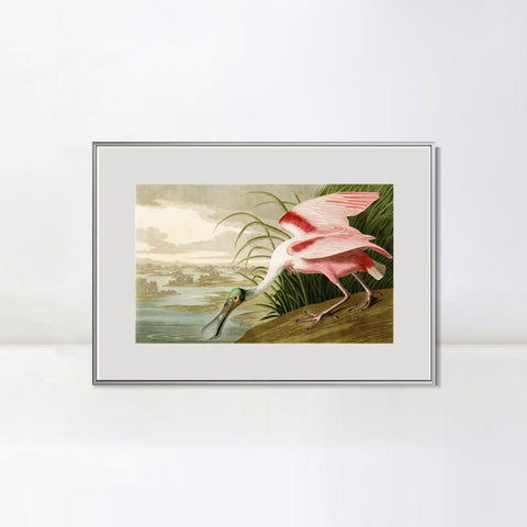 INVIN ART Metal Framed Canvas Giclee Print Roseate Spoonbill Bird by John James Audubon Wall Art Living Room Home Office Decorations