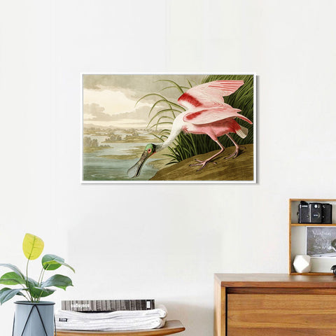 INVIN ART Framed Canvas Giclee Print Roseate Spoonbill Bird by John James Audubon Wall Art Living Room Home Office Decorations