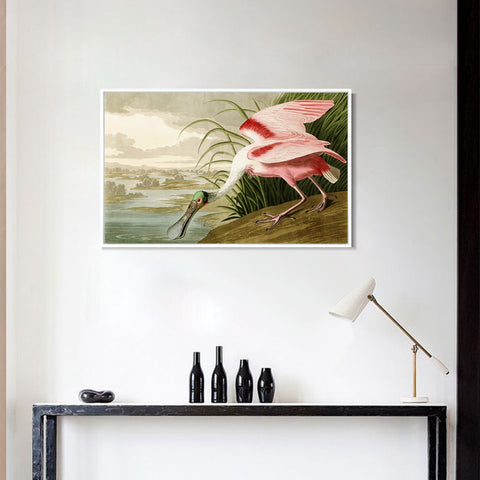 INVIN ART Framed Canvas Giclee Print Roseate Spoonbill Bird by John James Audubon Wall Art Living Room Home Office Decorations