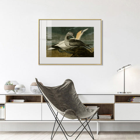 INVIN ART Metal Framed Canvas Giclee Print Gannet by John James Audubon Wall Art Living Room Home Office Decorations