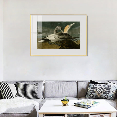 INVIN ART Metal Framed Canvas Giclee Print Gannet by John James Audubon Wall Art Living Room Home Office Decorations