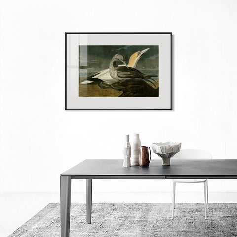 INVIN ART Metal Framed Canvas Giclee Print Gannet by John James Audubon Wall Art Living Room Home Office Decorations