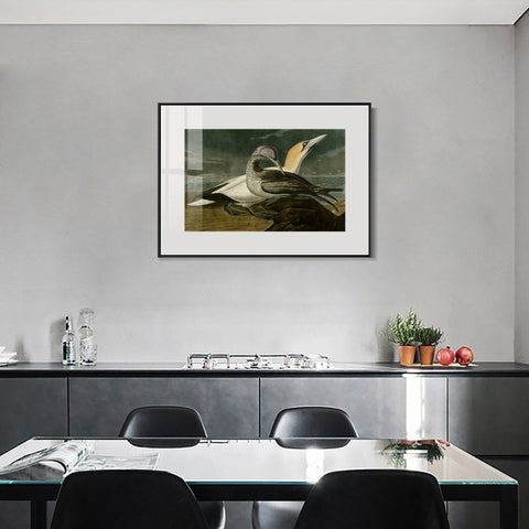 INVIN ART Metal Framed Canvas Giclee Print Gannet by John James Audubon Wall Art Living Room Home Office Decorations