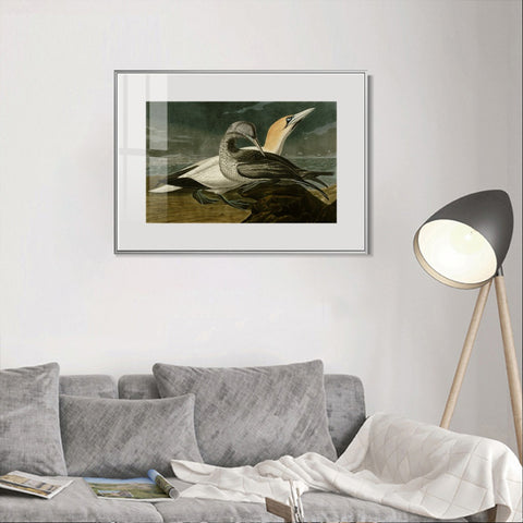INVIN ART Metal Framed Canvas Giclee Print Gannet by John James Audubon Wall Art Living Room Home Office Decorations