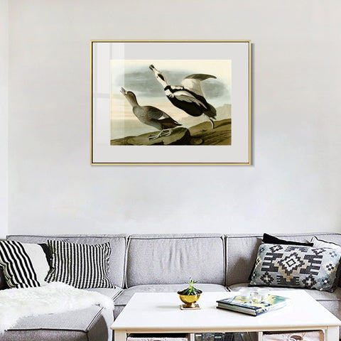 INVIN ART Metal Framed Canvas Giclee Print Pied Duck by John James Audubon Wall Art Living Room Home Office Decorations
