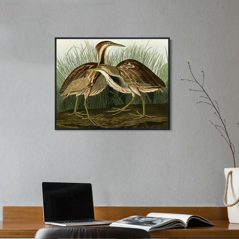 INVIN ART Framed Canvas Giclee Print American Bittern by John James Audubon Wall Art Living Room Home Office Decorations