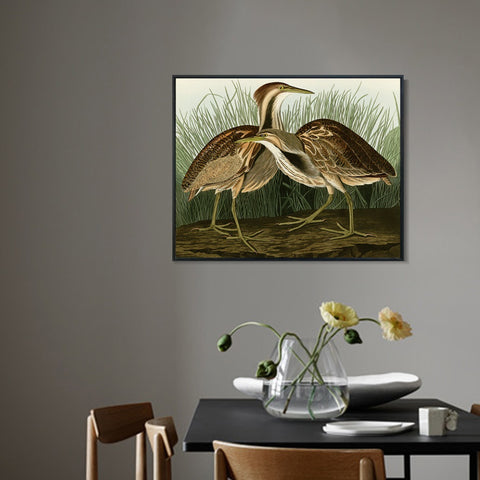INVIN ART Framed Canvas Giclee Print American Bittern by John James Audubon Wall Art Living Room Home Office Decorations