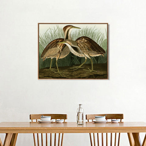 INVIN ART Framed Canvas Giclee Print American Bittern by John James Audubon Wall Art Living Room Home Office Decorations