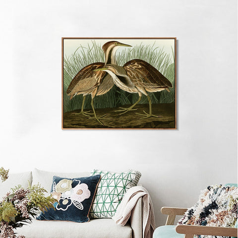 INVIN ART Framed Canvas Giclee Print American Bittern by John James Audubon Wall Art Living Room Home Office Decorations