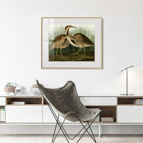 INVIN ART Metal Framed Canvas Giclee Print American Bittern by John James Audubon Wall Art Living Room Home Office Decorations