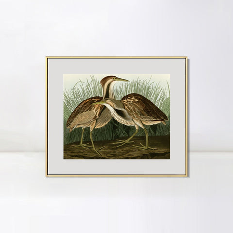 INVIN ART Metal Framed Canvas Giclee Print American Bittern by John James Audubon Wall Art Living Room Home Office Decorations