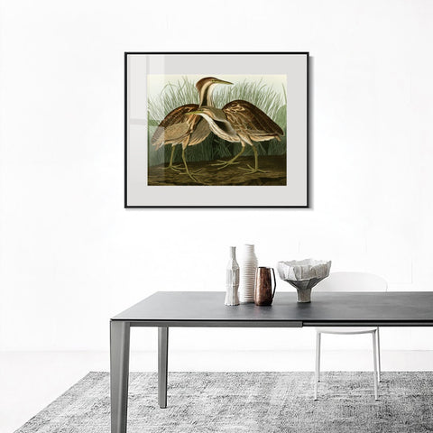 INVIN ART Metal Framed Canvas Giclee Print American Bittern by John James Audubon Wall Art Living Room Home Office Decorations