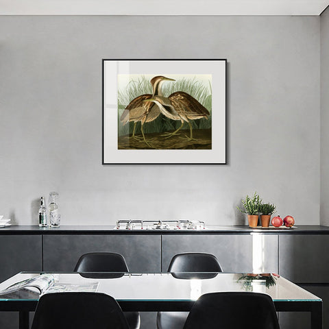 INVIN ART Metal Framed Canvas Giclee Print American Bittern by John James Audubon Wall Art Living Room Home Office Decorations