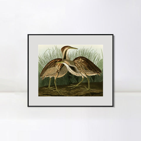 INVIN ART Metal Framed Canvas Giclee Print American Bittern by John James Audubon Wall Art Living Room Home Office Decorations