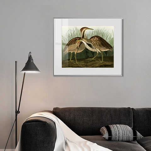 INVIN ART Metal Framed Canvas Giclee Print American Bittern by John James Audubon Wall Art Living Room Home Office Decorations