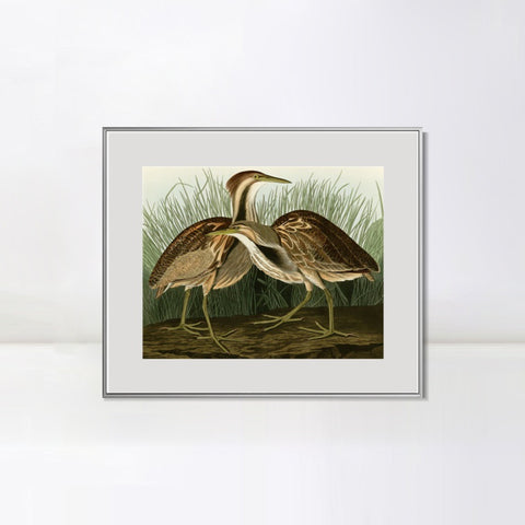INVIN ART Metal Framed Canvas Giclee Print American Bittern by John James Audubon Wall Art Living Room Home Office Decorations