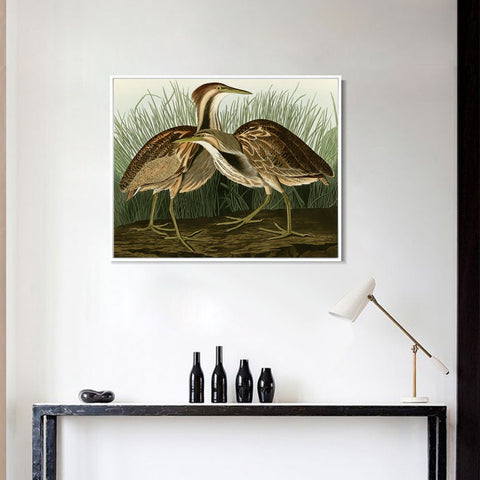 INVIN ART Framed Canvas Giclee Print American Bittern by John James Audubon Wall Art Living Room Home Office Decorations