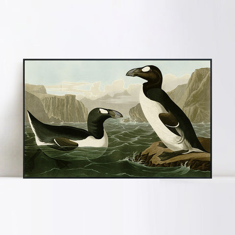 INVIN ART Framed Canvas Giclee Print Great Auk by John James Audubon Wall Art Living Room Home Office Decorations