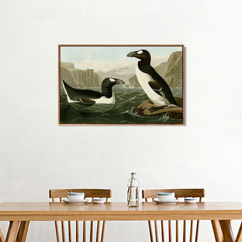 INVIN ART Framed Canvas Giclee Print Great Auk by John James Audubon Wall Art Living Room Home Office Decorations