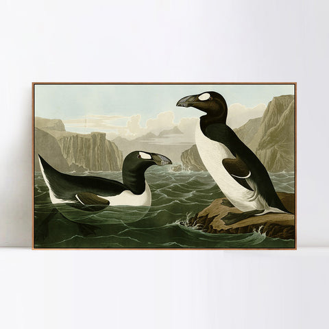 INVIN ART Framed Canvas Giclee Print Great Auk by John James Audubon Wall Art Living Room Home Office Decorations