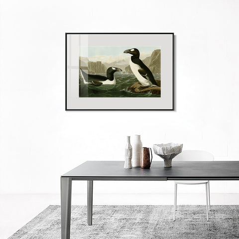 INVIN ART Metal Framed Canvas Giclee Print Great Auk by John James Audubon Wall Art Living Room Home Office Decorations