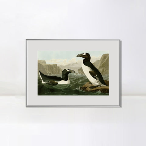 INVIN ART Metal Framed Canvas Giclee Print Great Auk by John James Audubon Wall Art Living Room Home Office Decorations